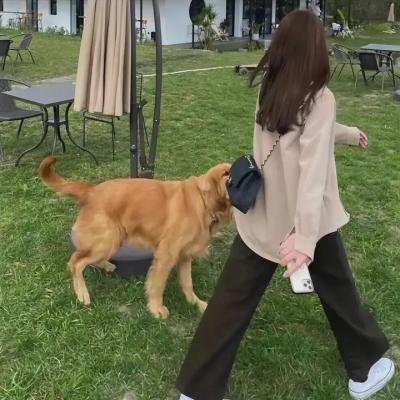 意外之罪